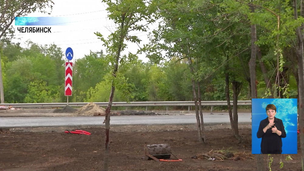 На Меридиане установят живую изгородь