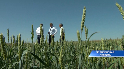 Губернатор 74.ru 24.07.2020