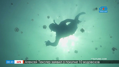 Путешествие в квартире — Лучшие места для дайвинга