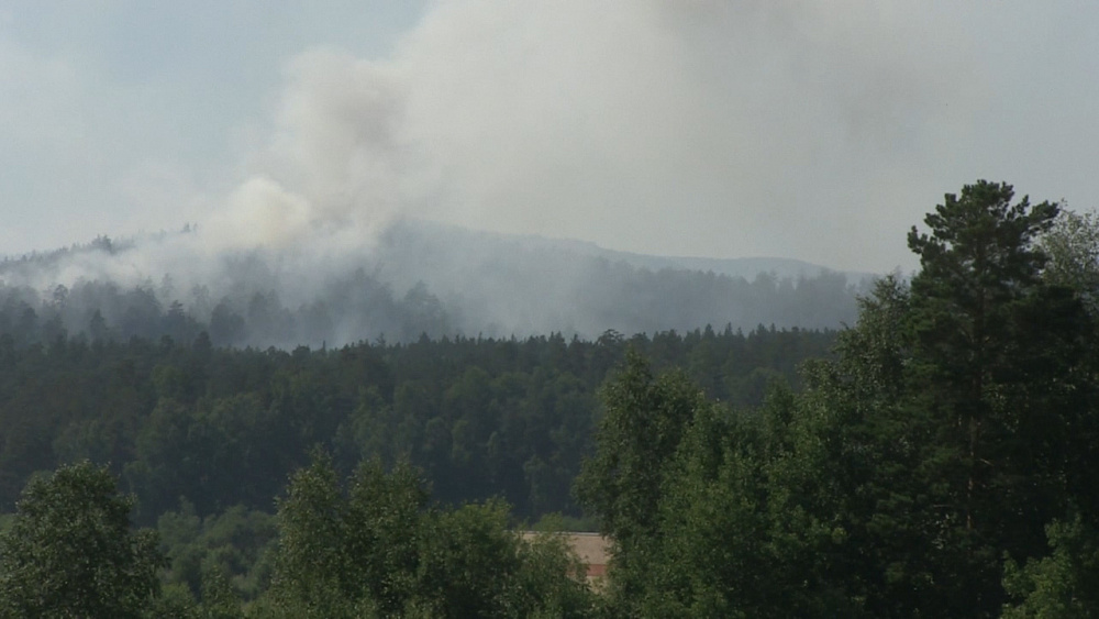 Прокурор Миасса займётся лесными пожарами