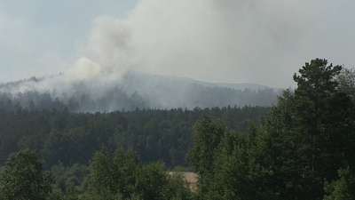 Прокурор Миасса займётся лесными пожарами
