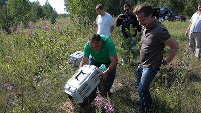 Южноуральские зоозащитники выпустили в естественную среду пятерых обитателей Фонда «Спаси меня»