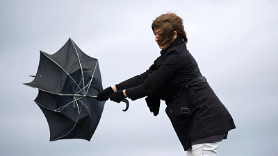 Грозы и сильный ветер ожидаются в Челябинской области 30 июля