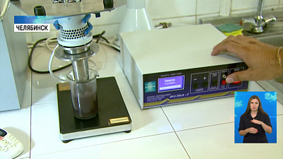 Студенты делают сыр и вино из сорняков