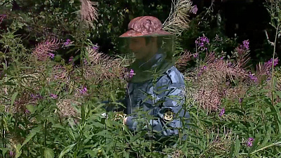 Время новостей. Итоги от 01.08.2020