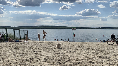 За челябинцами будет следить «большой брат»