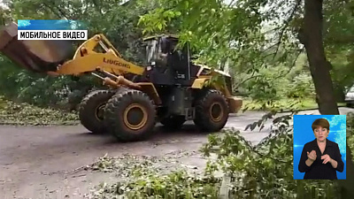 Пострадавшим от урагана возместят ущерб