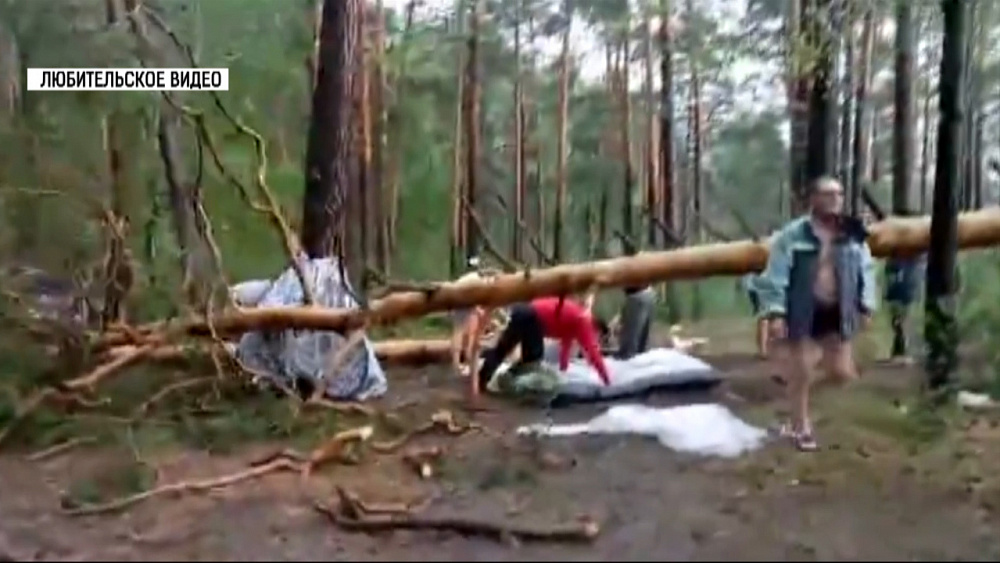 Шквалистый ветер повалил деревья на Тургояке