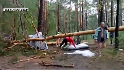 Шквалистый ветер повалил деревья на Тургояке