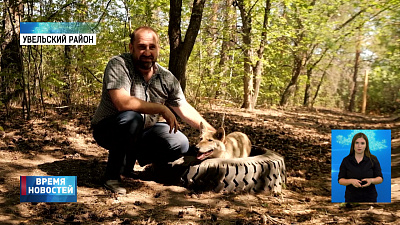 В лесхозе спасли волчонка из огня