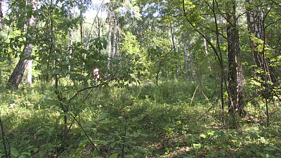 Результаты поиска пропавшей женщины