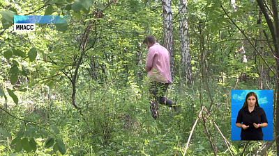 Как не потеряться в лесу