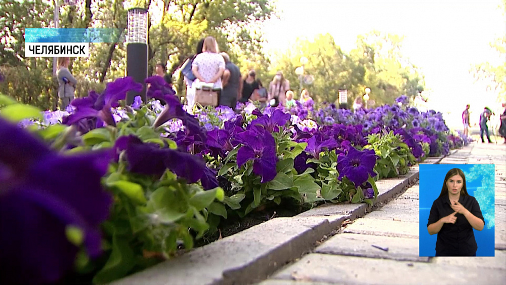 Челябинск проводит конкурс «Цветочный город»