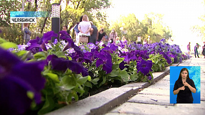 Челябинск проводит конкурс «Цветочный город»