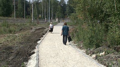 Из Комарово на Дачный проложат «Тропу здоровья»