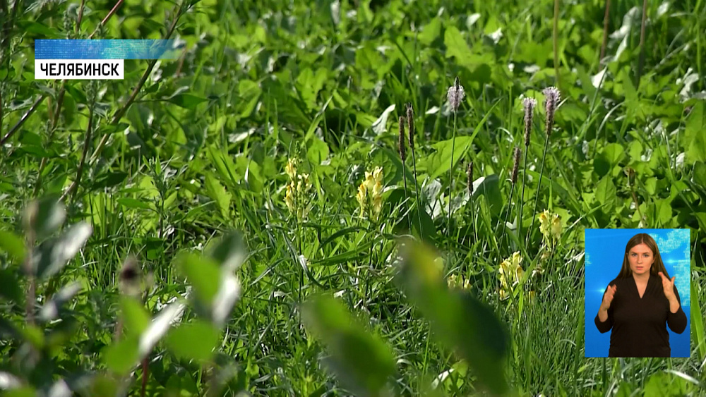 Клещи вновь проснулись