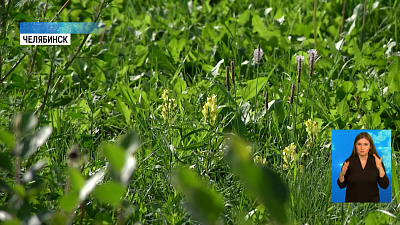 Клещи вновь проснулись