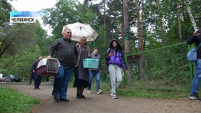 Зоозащитник выпустил белок на волю