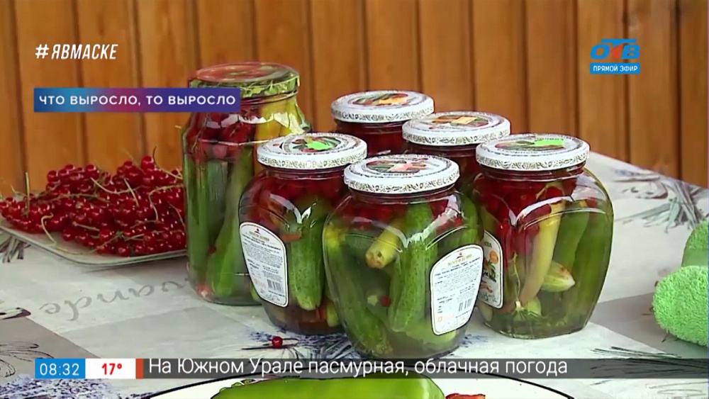 Что выросло — то выросло — маринованные огурцы со смородиной