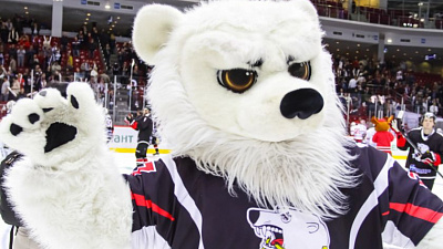 Стало известно, останется ли Белый медведь талисманом ХК «Трактор»