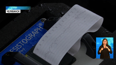 Историческим деревьям провели «медосмотр»