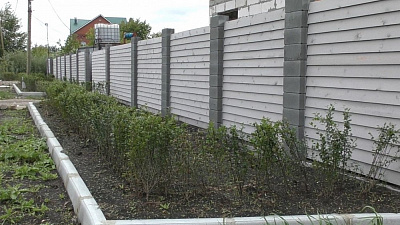 В Челябинске задержали подозреваемого в воровстве живой изгороди