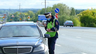Полицейские сняли на видео масштабную операцию «Ночь»