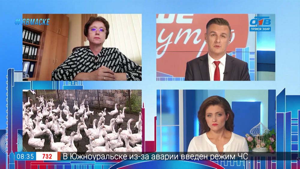 Гость на связи — Птичий грипп