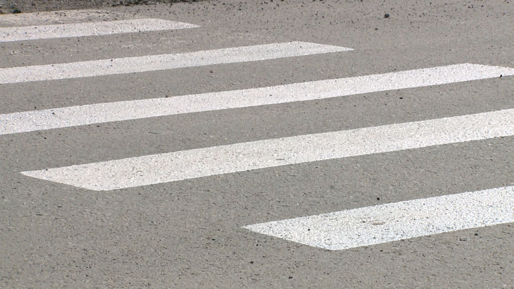 Нелегальная зебра появилась на асфальте