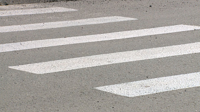 Нелегальная зебра появилась на асфальте