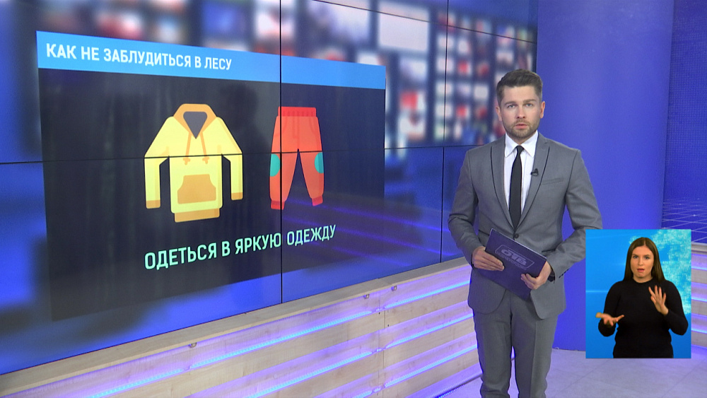 Как не заблудиться в лесу