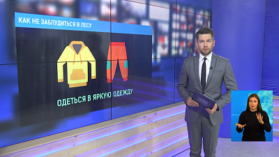 Как не заблудиться в лесу