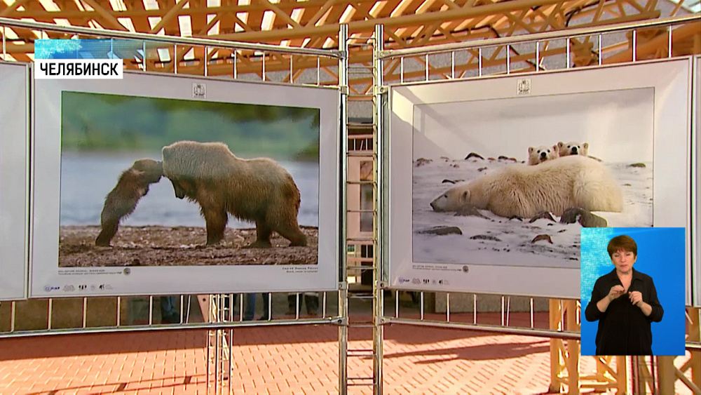 Фотовыставку работ FIAP откроют в Челябинске Фотовыставку работ FIAP откроют в Челябинске