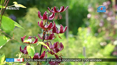 Руки садовода — не забываем про пионы!