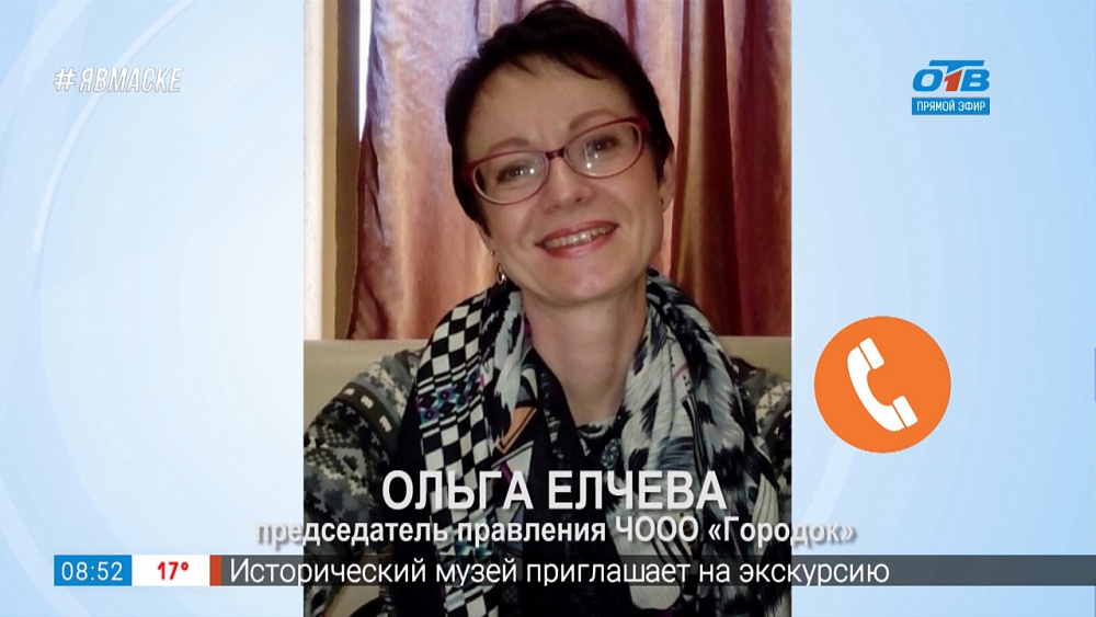 Гость на связи — кошки остались без хозяйки