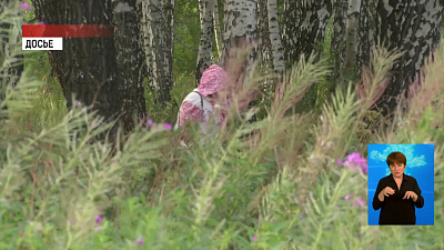 Грибника ищут 4 дня