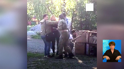 Зоозащитница напала на хозяина волка