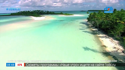 Путешествия в квартире — Острова для уединенного отдыха