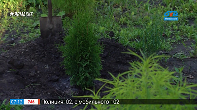 Сюжет «Зеленый город»