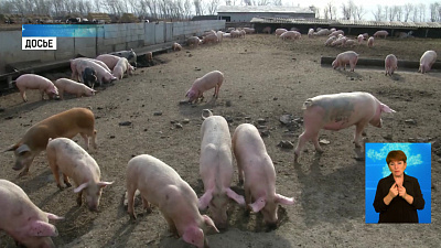 Южный Урал лидер УрФО по объёму агропродукции