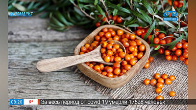 Вкусные истории — облепиха для зимы