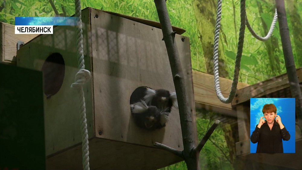 В зоопарке открылись тёплые вольеры