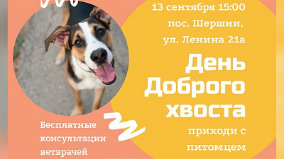 В Челябинске состоится «День доброго хвоста»