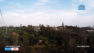 Путешествия в квартире — самые удивительные зоопарки