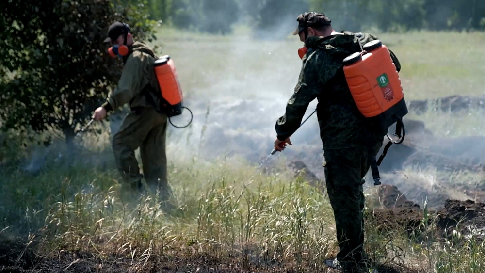 «ЭкоЛогика». Почему леса Южного Урала горят синим пламенем?