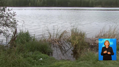 Тело пенсионера в бочке нашли в пруду