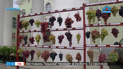 Сюжет «Фестиваль винограда»