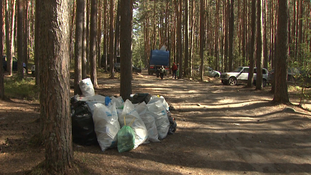 Участники эко-марафона «Чистый Тургояк» собрали тонну мусора