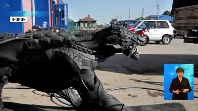 Житель Троицка делает животных из покрышек