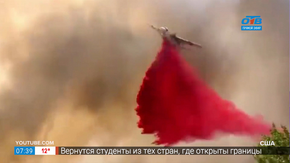 Дайджест. В стране и мире — события за 14 сентября